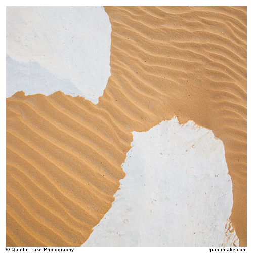 Sahara Sands XIV (Western Desert, Egypt)